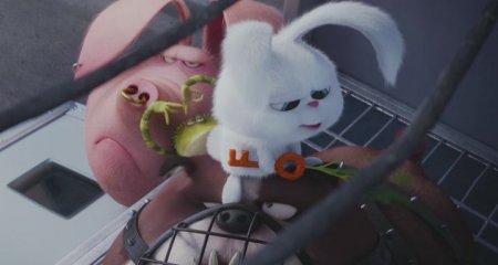 Тайная жизнь домашних животных (2016)