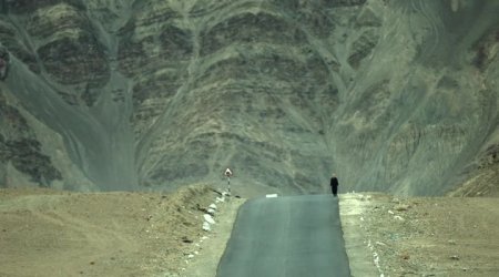 Спасение (2015)