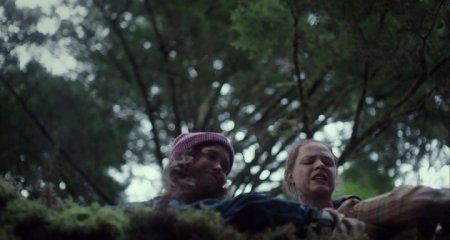 В лесу (2015) В лесу (2015)