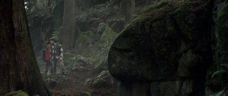 Черные птицы (2014)