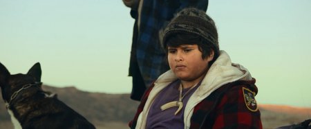 Охота на дикарей (2016) Охота на дикарей (2016)