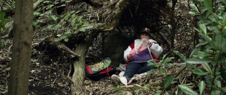 Охота на дикарей (2016) Охота на дикарей (2016)