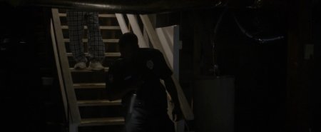 Хороший сосед (2016)