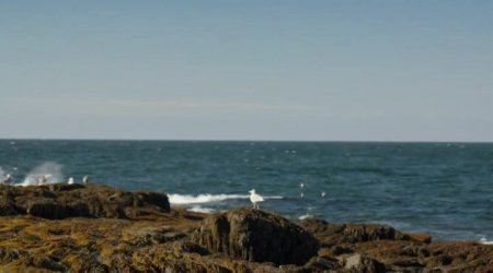 Конгрессмен (2016)