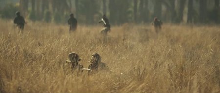 Осада Жадовиля (2016) Осада Жадовиля (2016)