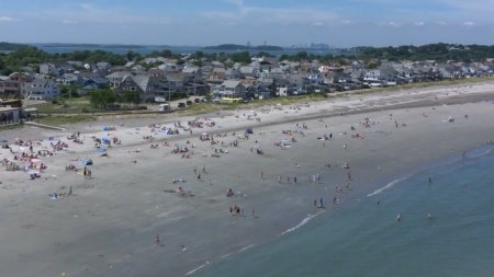 Акула-Франкенштейн (2016) Акула-Франкенштейн (2016)