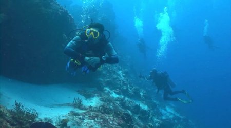 Акула-Франкенштейн (2016) Акула-Франкенштейн (2016)