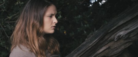 Наследие Викингов (2016) Наследие Викингов (2016)