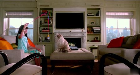 Девять жизней (2016)