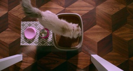 Девять жизней (2016)