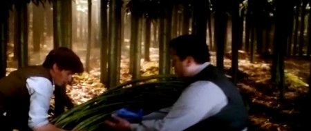 Фантастические твари и где они обитают (2016) Фантастические твари и где они обитают (2016)