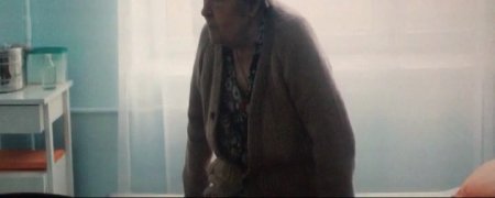 Зоология (2016)