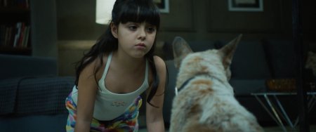 В конце туннеля (2016)