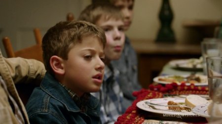 Семейная Ферма (2016)