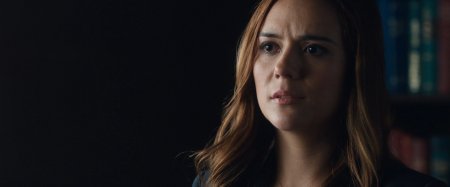 Инкарнация (2016) Инкарнация (2016)