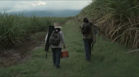 Земля и тень (2015) Земля и тень (2015)