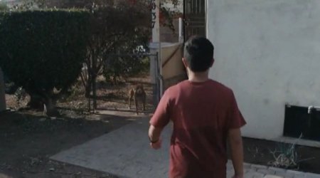 Я - гангстер (2015) Я - гангстер (2015)