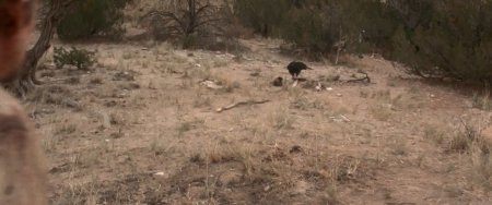 В долине насилия (2016)