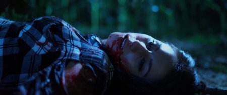 Вилы (2016) Вилы (2016)