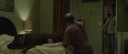 Мистер Свин (2016)