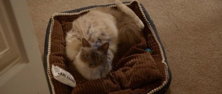 Золотые годы (2016)