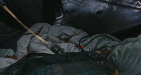 Демон дерева (2016)