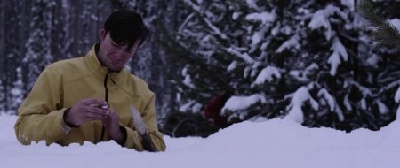 Зов волка (2016) Зов волка (2016)