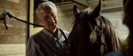 Одичавший (2017) Одичавший (2017)