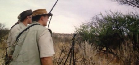 Сафари (2016) Сафари (2016)