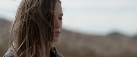 Семейство (2016) Семейство (2016)