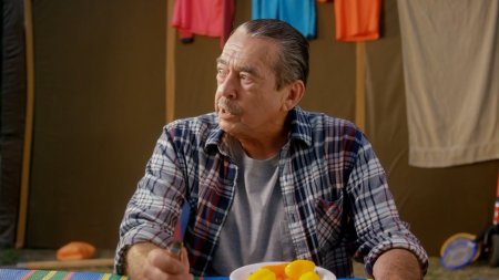 Безумные семейки (2017)