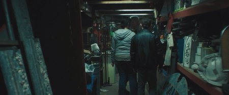 В этом мире я больше не чувствую себя как дома (2017) В этом мире я больше не чувствую себя как дома (2017)