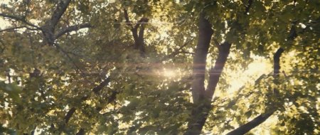 Все, что у нас было (2016) Все, что у нас было (2016)