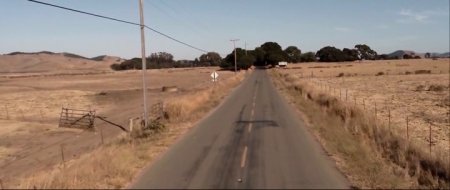 Любительница собак (2016)