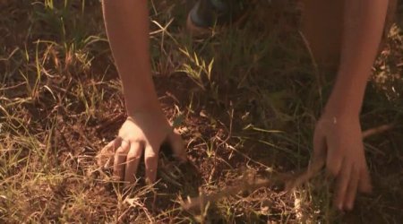 Против природы 2: Выжить в Серенгети (2016)