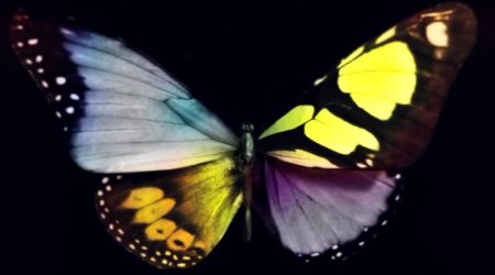 Галактика ужасов (2017) Галактика ужасов (2017)