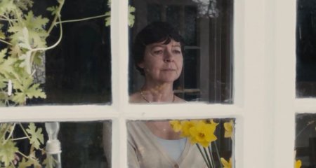 Бонобо (2014) Бонобо (2014)