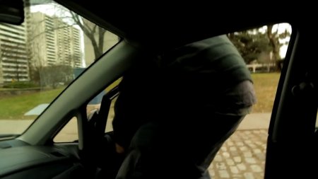 Поймать, убить, выпустить (2016) Поймать, убить, выпустить (2016)