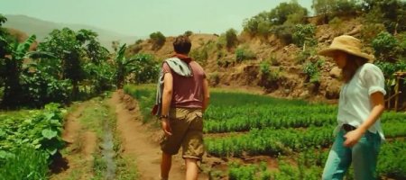 Смелость быть диким (2015) Смелость быть диким (2015)