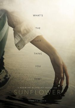 Фильм Подсолнух (Исчезновение) (2019)