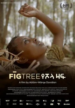 Фильм Инжир (2018)