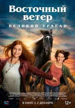 Фильм Восточный ветер. Великий ураган (2021)
