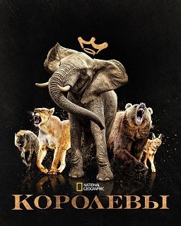 Королевы (1 cезон)